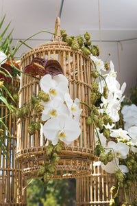 Design Shop Natural Tindra Lantern, 12" X 20.75".