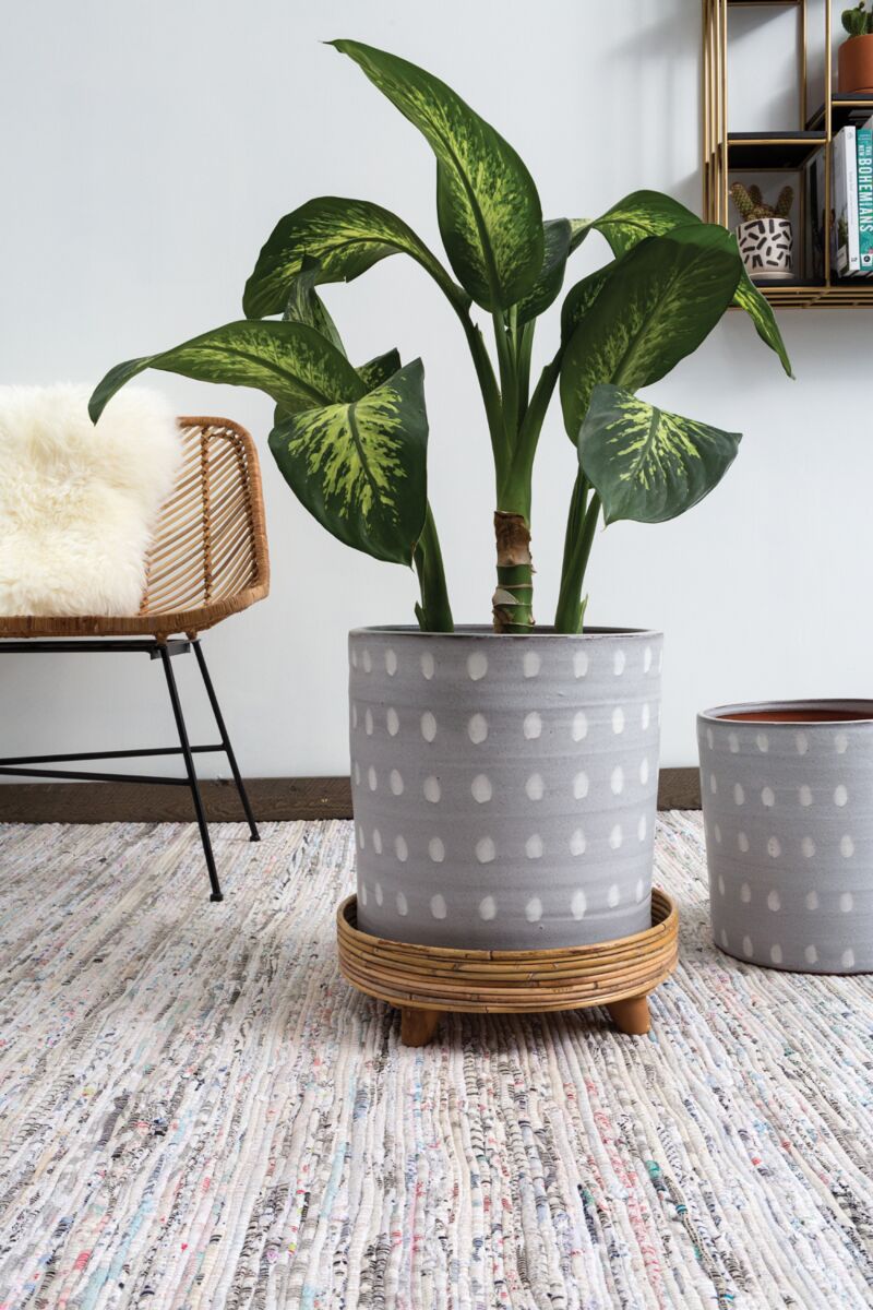 Design Shop Natural Rica Plant Stand, 15.75" X 4.5".