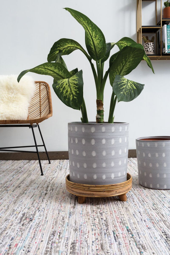 Design Shop Natural Rica Plant Stand, 15.75" X 4.5".