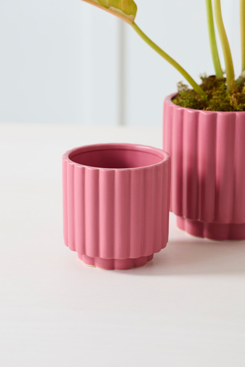 Design Shop Carmen Pot 4.5"x 4.5", Set of 4