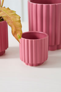 Design Shop Carmen Pot 4.5"x 4.5", Set of 4