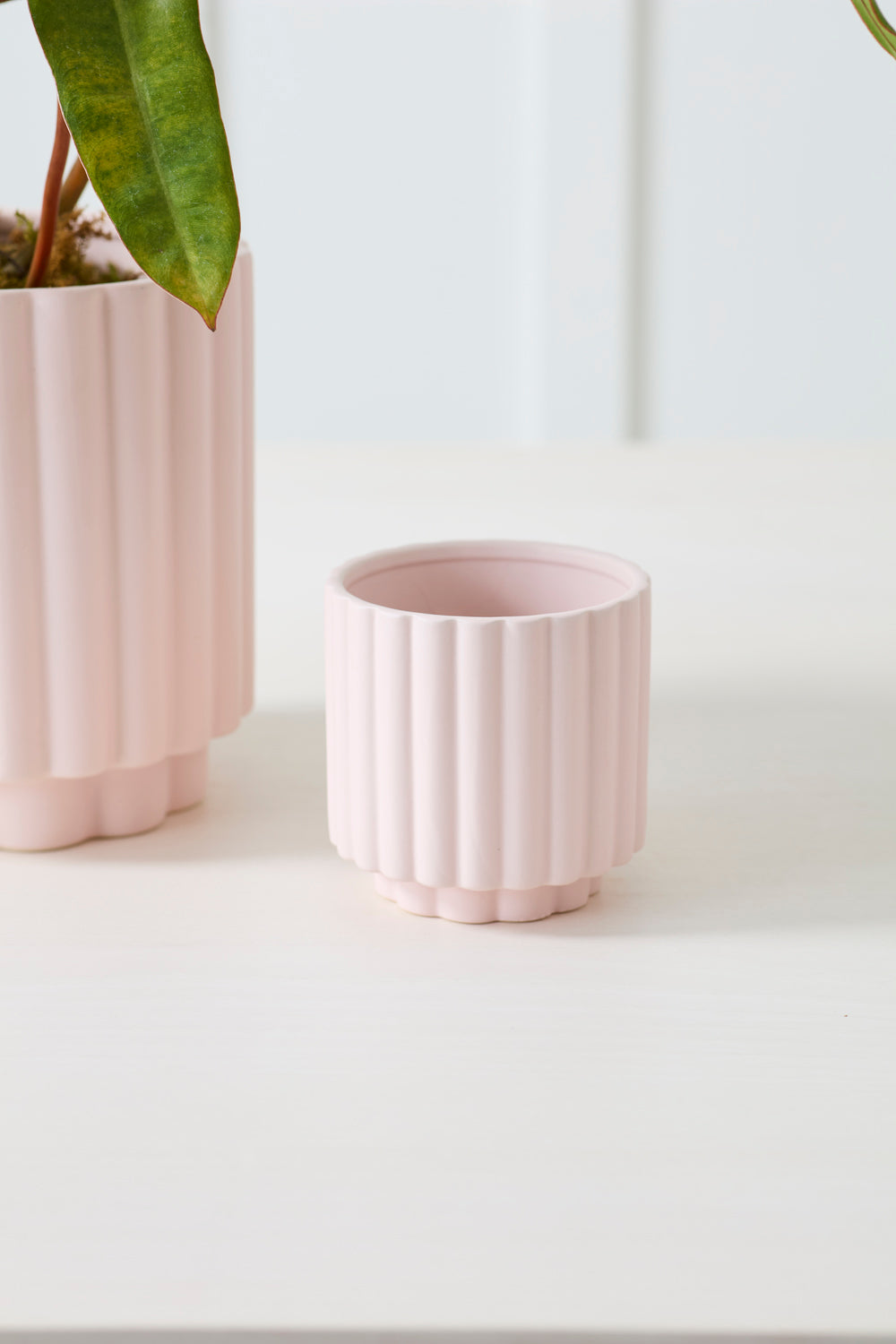 Design Shop Carmen Pot 4.5"x 4.5", Set of 4
