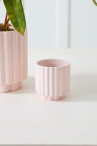 Design Shop Carmen Pot 4.5"x 4.5", Set of 4