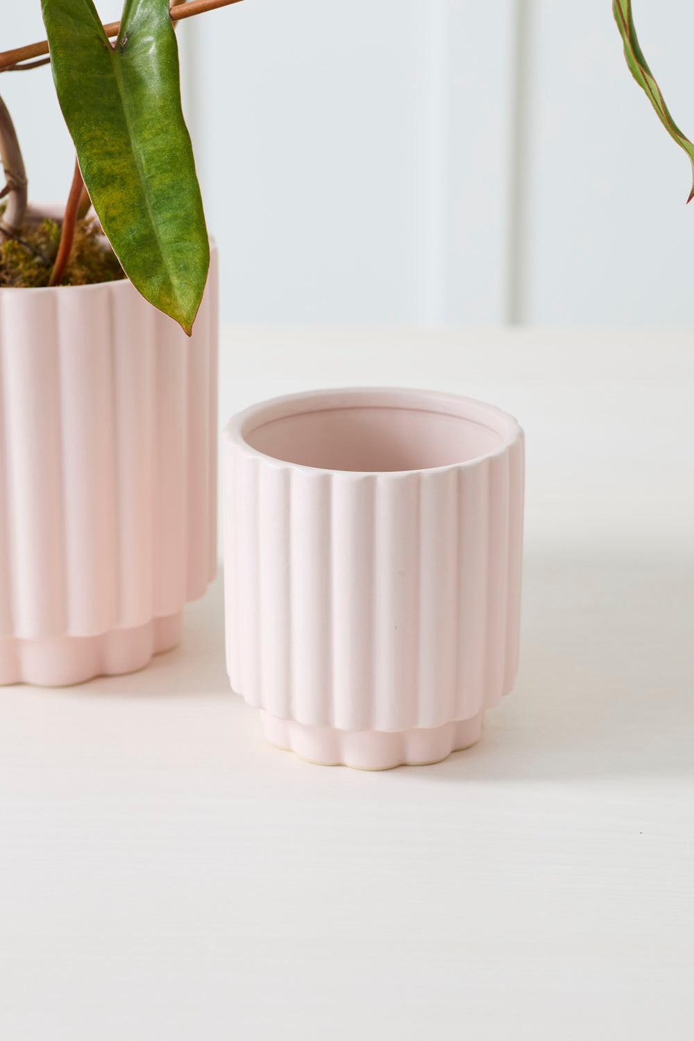 Design Shop Carmen Pot 5.5"x 6", Set of 2
