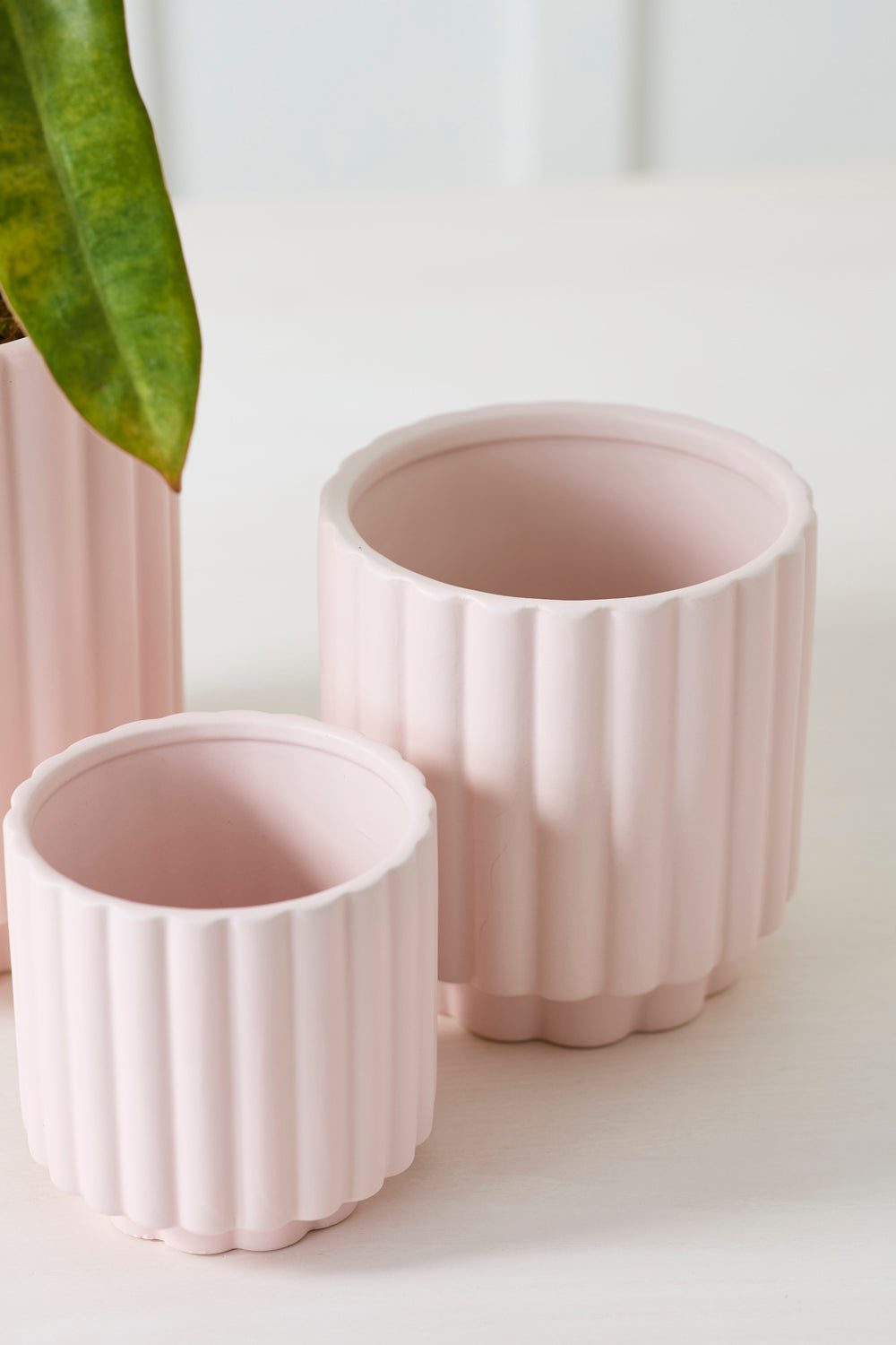 Design Shop Carmen Pot 5.5"x 6", Set of 2