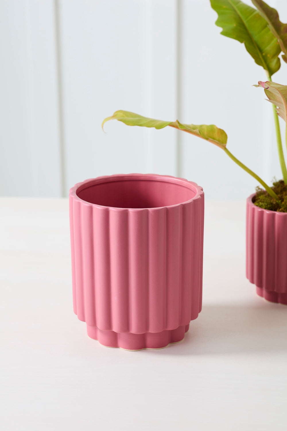 Design Shop Carmen Pot 7.25"x 8.25"