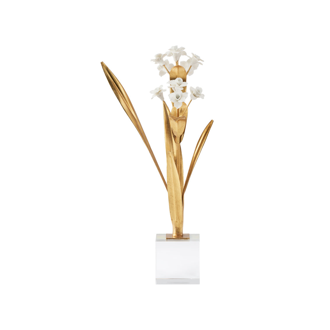 Chelsea House Paperwhite Narcissus