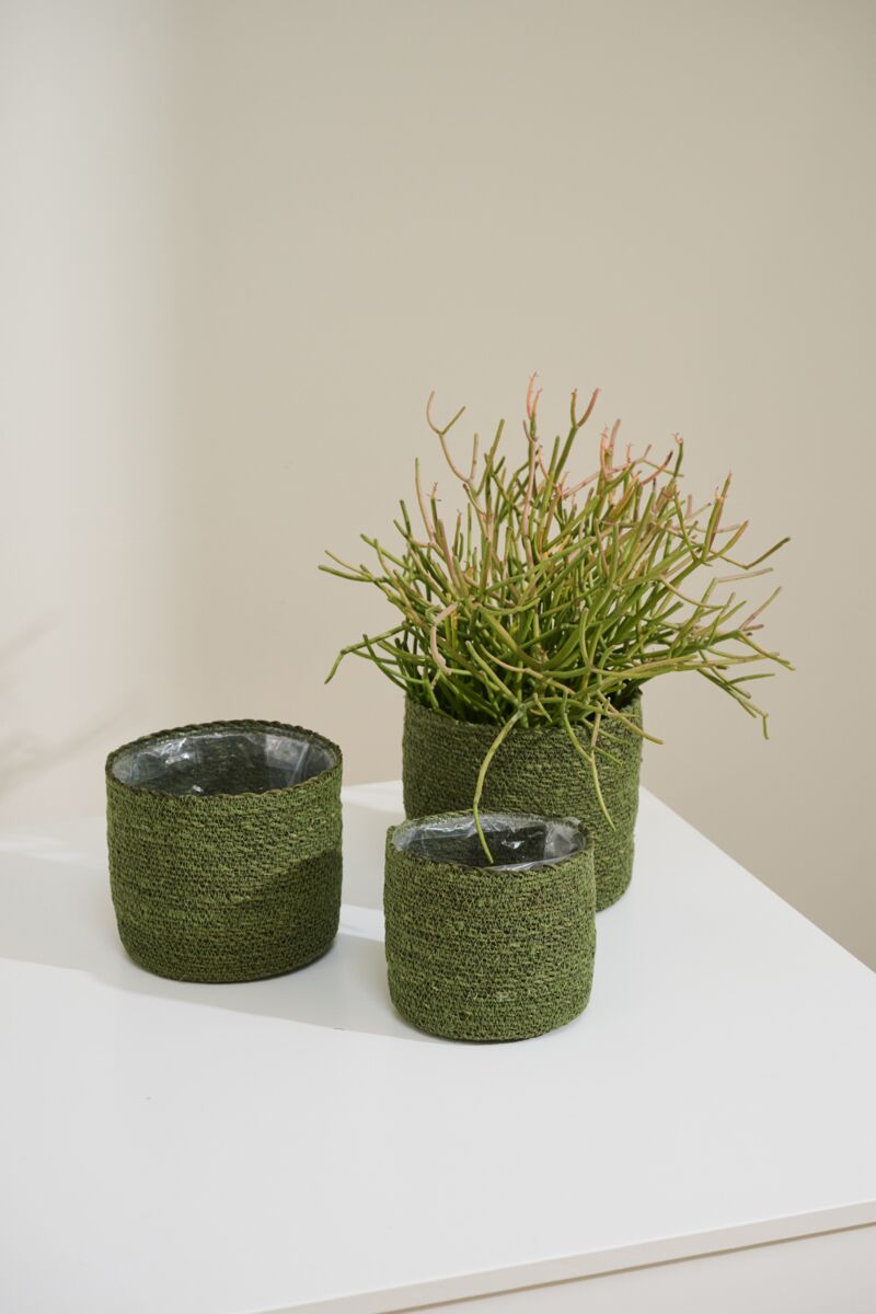Design Shop Inkberry Basket Set of 3 - 6.5"/7"/8"
