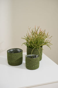 Design Shop Inkberry Basket Set of 3 - 6.5"/7"/8"
