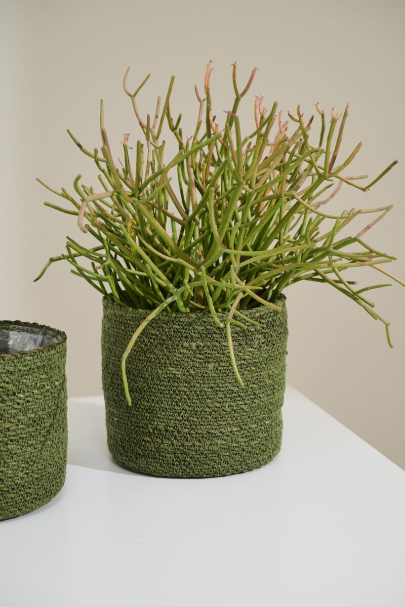 Design Shop Inkberry Basket Set of 3 - 6.5"/7"/8"