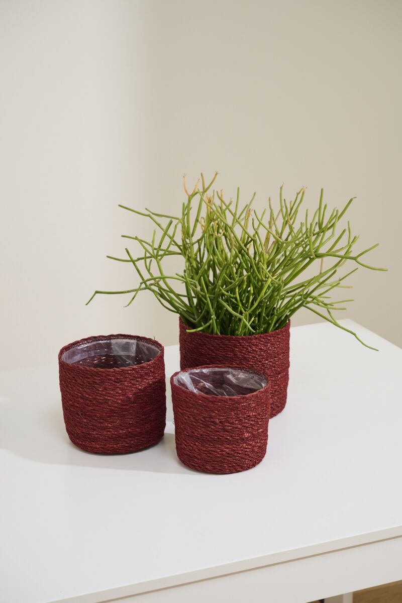 Design Shop Inkberry Basket Set of 3 - 6.5"/7"/8"