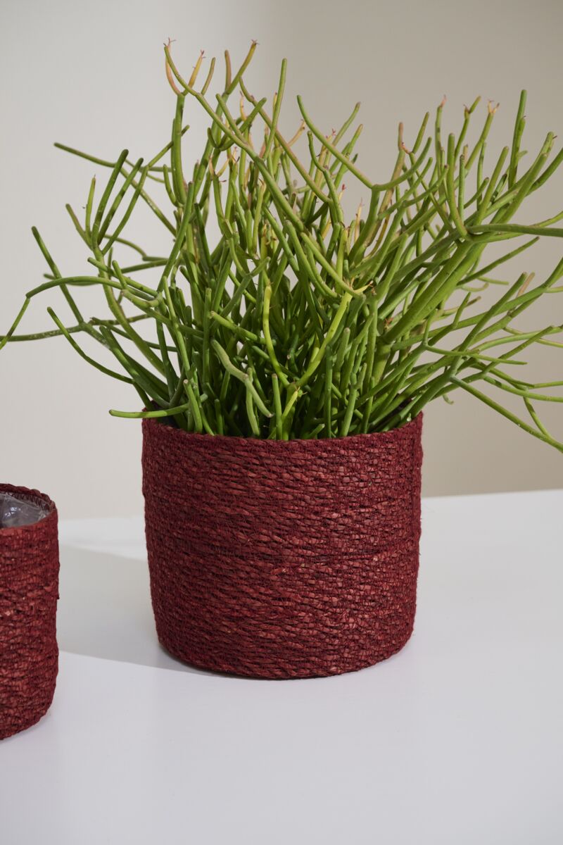 Design Shop Inkberry Basket Set of 3 - 6.5"/7"/8"