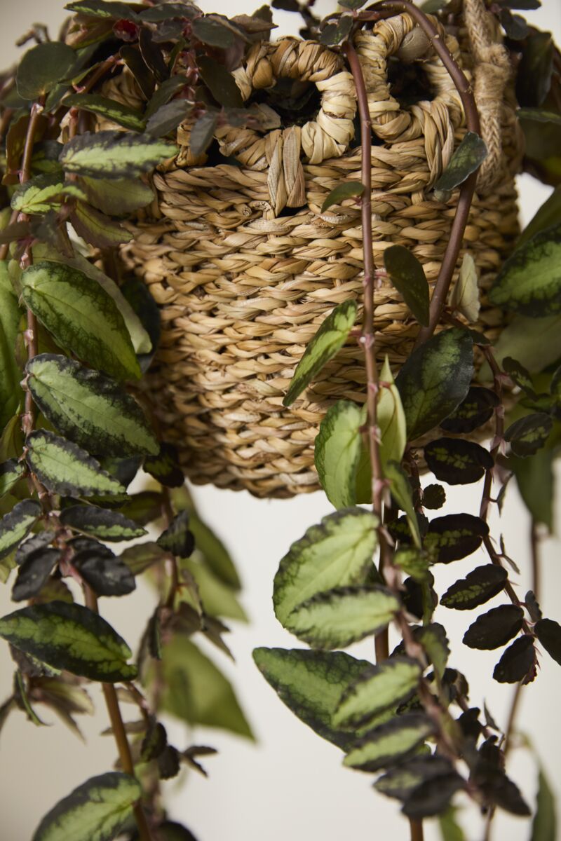 Design Shop Verse Hanging Basket 6.5"x 20", Set of 2