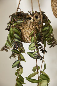 Design Shop Verse Hanging Basket 6.5"x 20", Set of 2