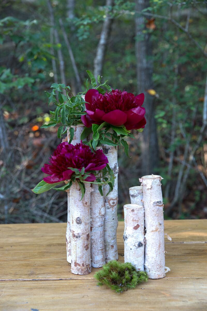 Design Shop Natural Woodward Budvase, 4.5" X 14.5".