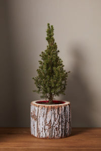 Design Shop Natural Pinefrost Pot, 9.75" X 8".