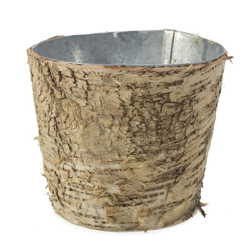 Design Shop Natural Birch Collection with Zinc Pot, 5.5" X 5".