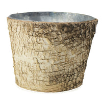 Design Shop Natural Birch Collection with Zinc Pot, 7" X 6".