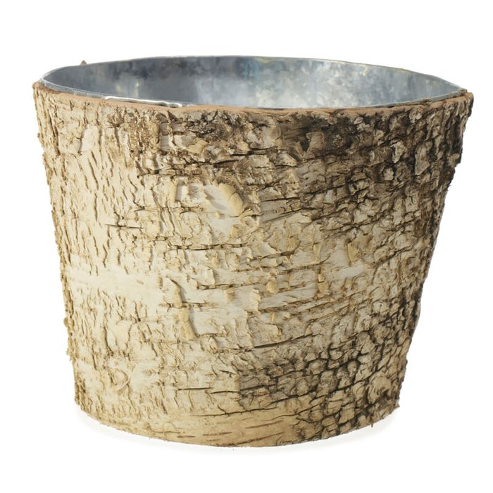 Design Shop Natural Birch Collection with Zinc Pot, 7" X 6".