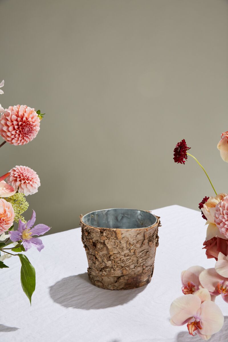 birch planter pot Birch Pot w. Zinc 7x6
