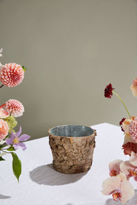 Design Shop Natural Birch Collection with Zinc Pot, 7" X 6".