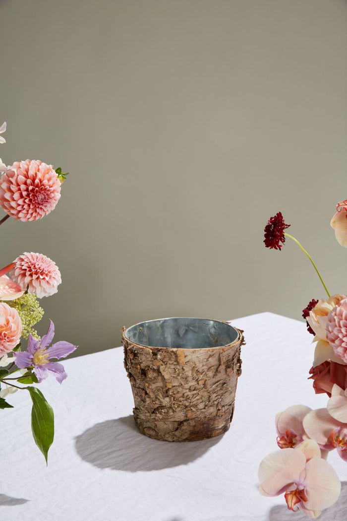 Design Shop Natural Birch Collection with Zinc Pot, 7" X 6".