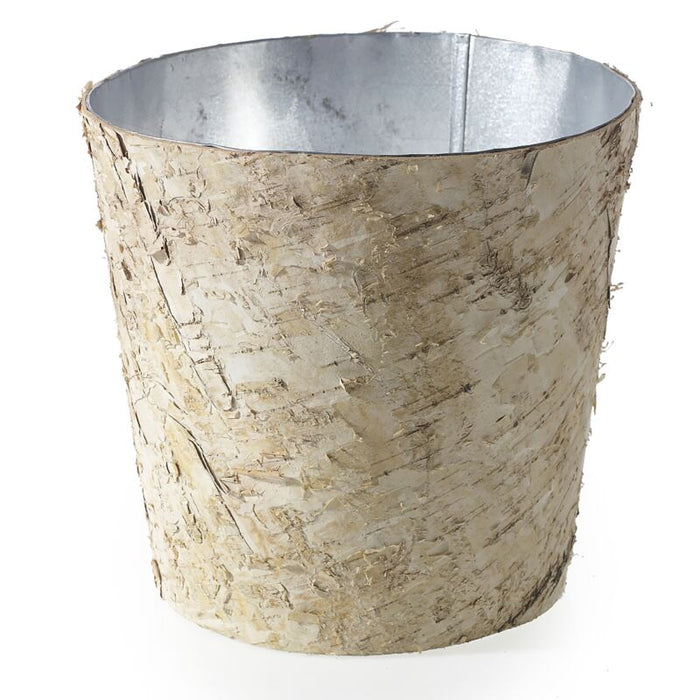 Design Shop Natural Birch Collection with Zinc Pot, 8.5" X 8".