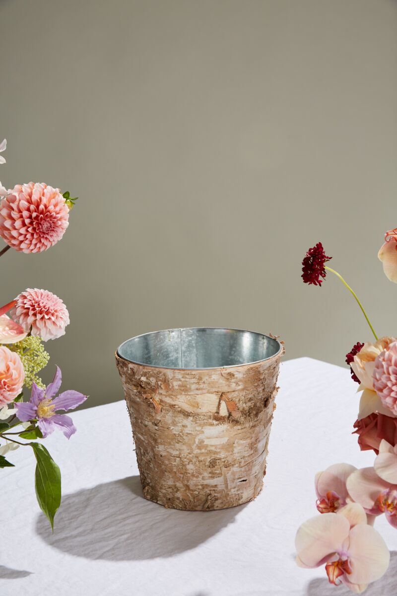 Design Shop Natural Birch Collection with Zinc Pot, 8.5" X 8".