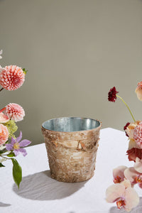 Design Shop Natural Birch Collection with Zinc Pot, 8.5" X 8".