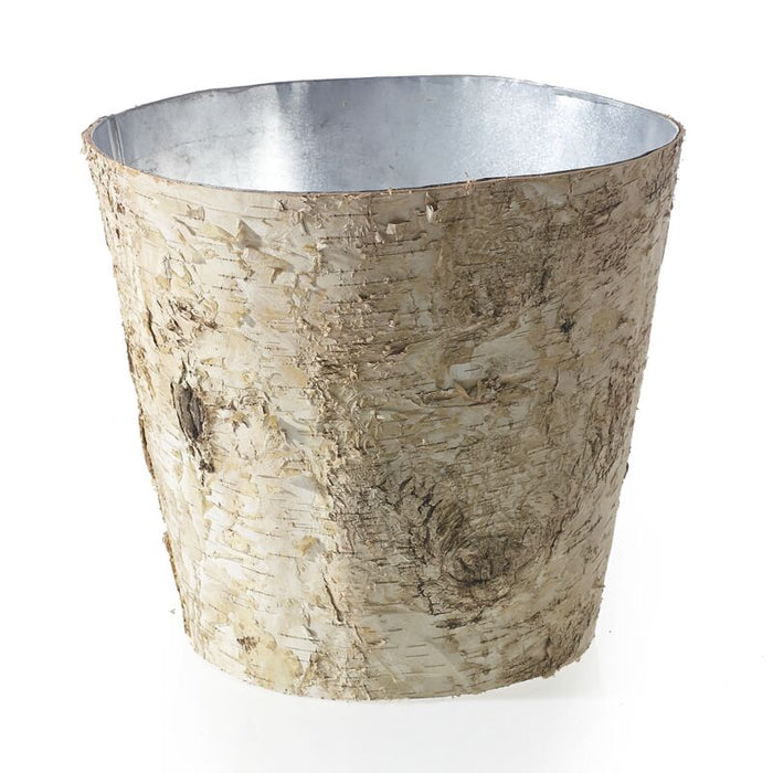 Design Shop Natural Birch Collection with Zinc Pot, 10.5" X 9.75".