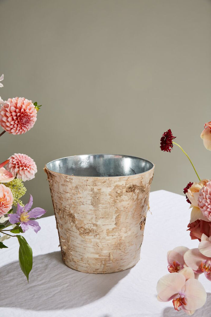 Design Shop Natural Birch Collection with Zinc Pot, 10.5" X 9.75".