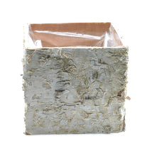 Design Shop Birch Square Pot 4.75"x 4.75"