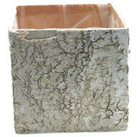 Design Shop White Birch Square Pots, 5.5" X 5.5".