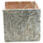 Design Shop Birch Square Pot 5.5"x 5.5"