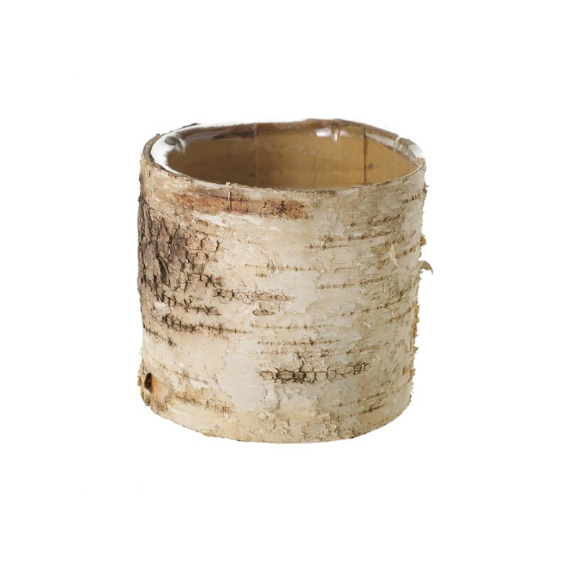 Design Shop Natural Birch Cylinder Cylinder, 4.75" X 4.75".
