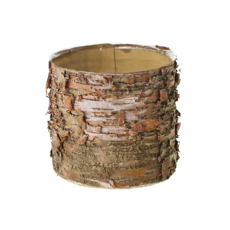 Design Shop Natural Birch Cylinder Cylinder, 6" X 5.5".