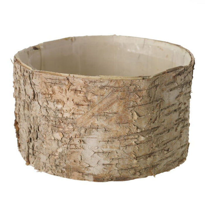 Birch bark planter on a white background