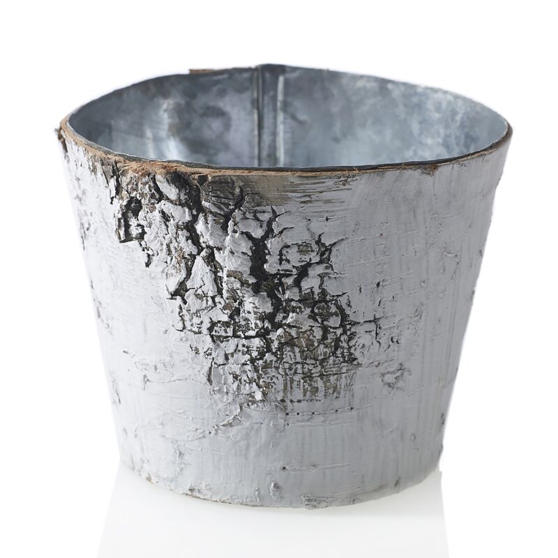 Design Shop White Birch Pot w/ Zinc, 3.75" X 3".
