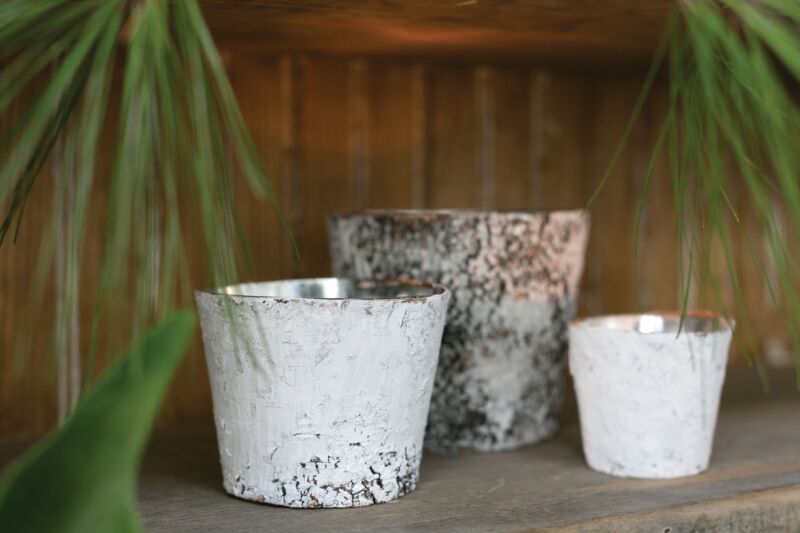Design Shop White Birch Pot w/ Zinc, 3.75" X 3".