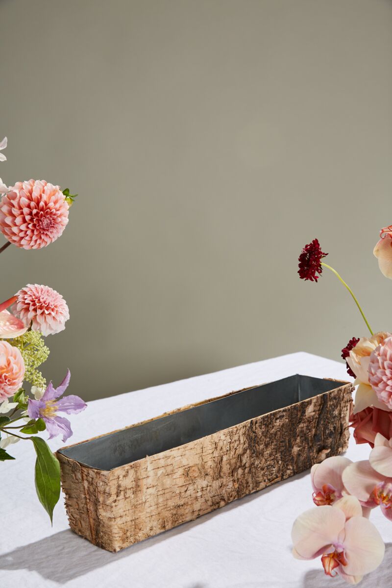 Design Shop Natural Birch Collection with Zinc Planter, 18" X 4".