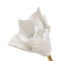 Chelsea House Tulip Stem (Med)