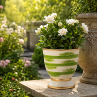Design Shop Savoy Green and White Cachepot Large 7.25"
