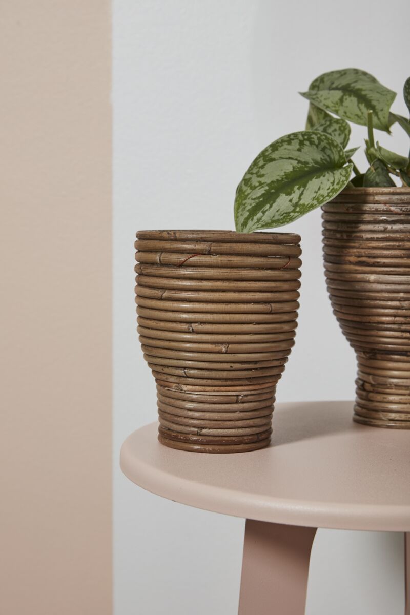 Design Shop Natural Aroon Pot, 4.75" X 5.75".