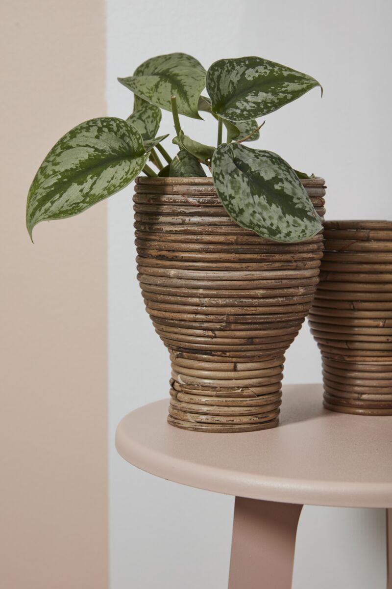 Design Shop Natural Aroon Pot, 5.5" X 7.5".