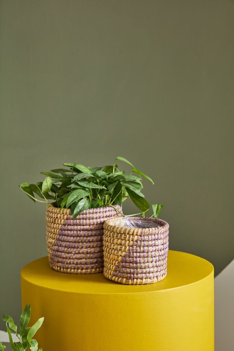 Design Shop Light-Purple Zouk Basket - Set of 2, 5.5" X 5".