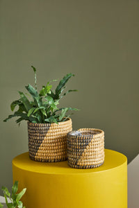 Design Shop Black Zouk Basket - Set of 2, 5.5" X 5".