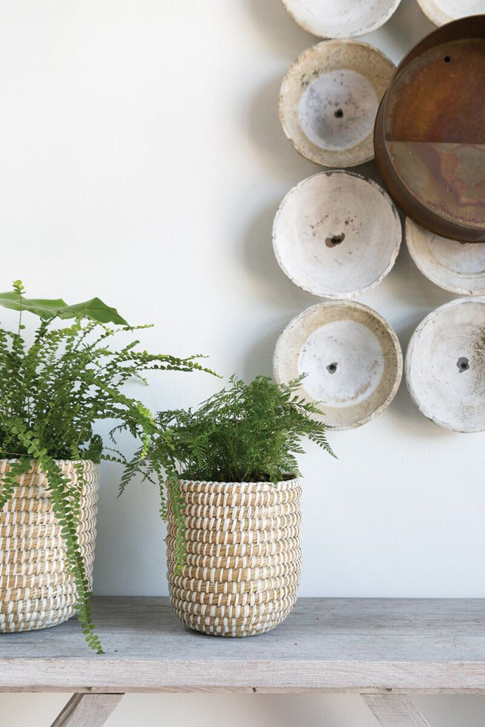 Woven planters with green ferns on a wooden surface against a wall with decorative circular elements.