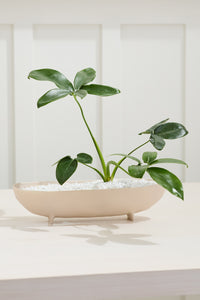 Design Shop Off-White Rahala Boat, 15.25" X 3.5".