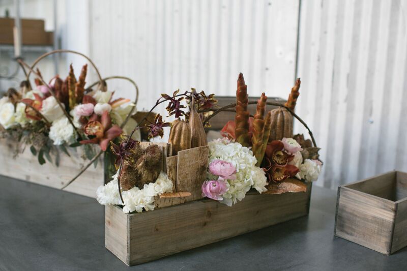 Design Shop Natural Woodland Planter, 20" X 4".