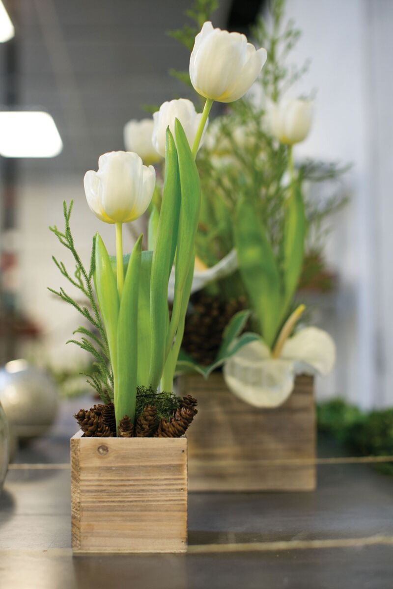 Design Shop Natural Woodland Planter Box, 4" X 4".
